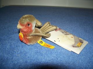 Vintage Steiff Miniature Pieps Bird W/ Button & Tag Mohair Tan 3 " Long