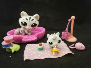 Authentic Littlest Pet Shop Lps Mommy Baby Kitten Cat White Tiger 3585 3586
