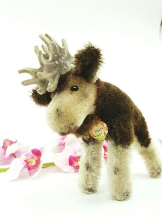 Steiff Elk Moose Moosy Mohair 1314,  00 14 Cm Chesttag Vgc Antique Vintage Toy