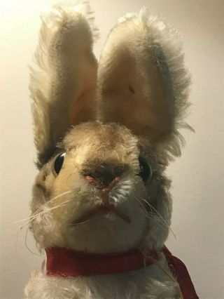 Vintage 1950 ' s Steiff Mohair Rabbit,  Button in Ear 2