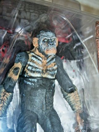 6 " Koba Action Figure (moc) Dawn Of The Planet Of The Apes (2014) Pota