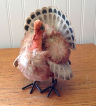 Vintage Steiff Tucky Turkey Bird 6 " Rare 1310/00 Button In Ear