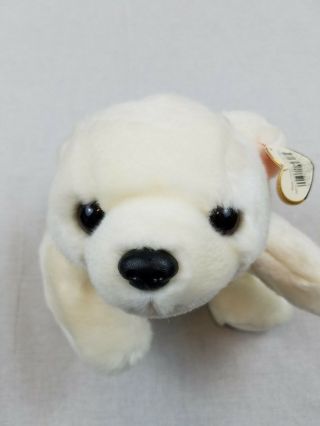 Ty Beanie Buddy Chilly White Polar Bear Plush Stuffed Animal With Tag Toy