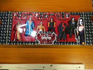 Evolution of Sting WCW WWE Box set. 2