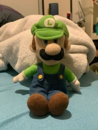 Mario Party 5 Luigi Plush