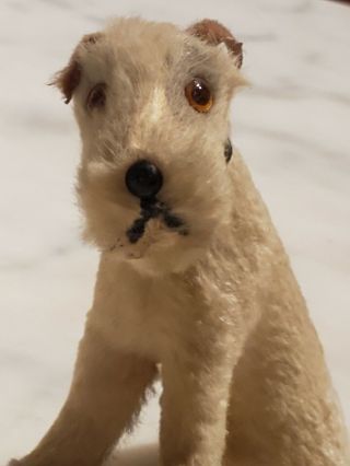 Antique Dollhouse Terrier Dog With Glass Eyes Made Of Fur & Leather Germany