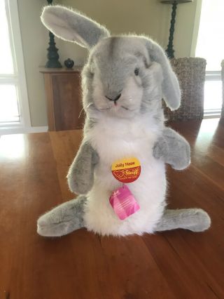 Steiff Vintage Jolly Hase Rabbit Bunny Hare Puppet With Tags & Pin 21 " Incl Ears