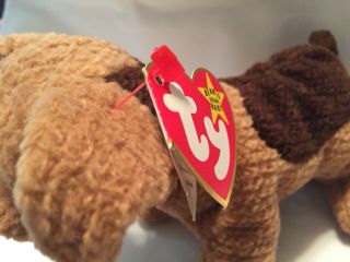 Ty Beanie Babies TUFFY The “Welsh” Terrier Dog w/Tags MWMT 2