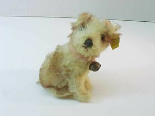 Adorable Vintage Steiff Molly Dog Button & Paper Tag 4 "