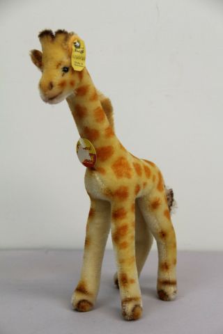 Vintage Steiff Giraffe 11 " 0750/28 Germany Button Stuffed Animal Collectible