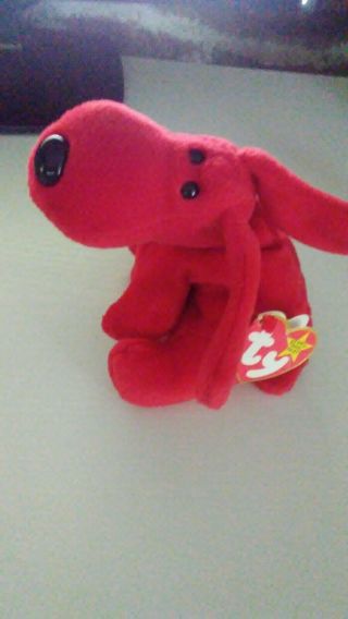 Rover The Red Dog Ty Beanie Baby Dob May 30,  1996 Style 4101