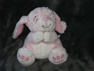 Bright Starts Stuffed Plush Patter Bunny Rabbit Pink Now I Lay Me Down Prayer
