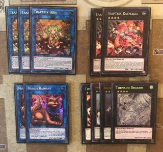 Traptrix Deck Core W/ Additional Options For Main Deck Cards