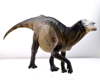 15  Rare Shantungosaurus Dinosaur Model Scientific Art Hadrosaurus Figure Pnso