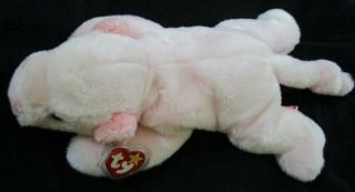 Ty Beanie Buddy Squealer The Pig Very Soft 15 " Long Mwmt