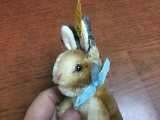 Antique Vintage Steiff Bunny Rabbit Manni 3.  5” W/id Darling