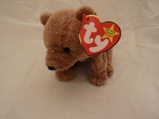 1999 Ty Beanie Babies Pecan The Bear W/tags (8 Inch)