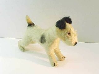 Early Vintage Steiff Mohair Fox Terrier Dog 6.  5 " X 8 "