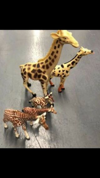 Bundle Of Plastic Toy Giraffes