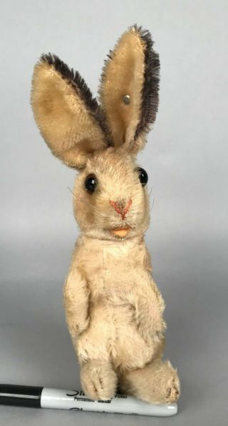 Vintage Steiff Manni Rabbit Hase - 20 Cm 8.  5 " Tall 1967 4320.  03 - No Tags