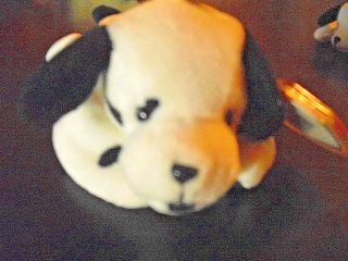 Ty Dotty Dalmation Beanie Baby 1996 Pvc Pellets With Tags