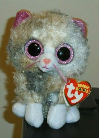 Ty Beanie Boos Scrappy The Kitty Cat (6 Inch) Mwmt Very Cute