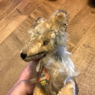 Sweet Vintage Miniature Steiff Collie Dog Puppy 4 " W/ Id Darling