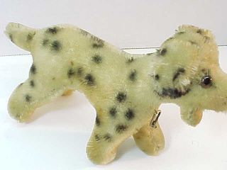 Vintage Steiff Dalmation Dog w/ Button 4 