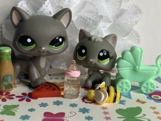 Littlest Pet Shop 1059 Walking Cat 1035 Grey Kitten Mommy And Baby Green Eye