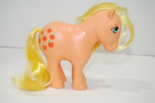 Vintage G1 My Little Pony Collector 