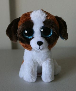 Beanie Boo Dog Duke Puppy 6 In Beanie Boos Ty Plush Animal White Brown Blue Euc
