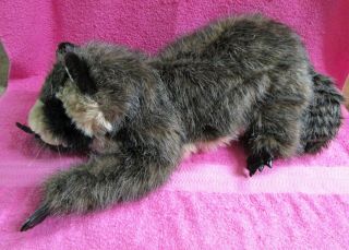 Folkmanis Large Raccoon Hand Puppet Plush 22 "