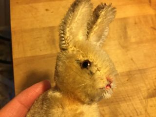 Antique Vintage Steiff Bunny Rabbit Sonny 3” No Id Darling