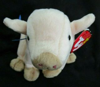 Ty Beanie Baby Knuckles The Pig Dob March 25,  1995 Mwmt