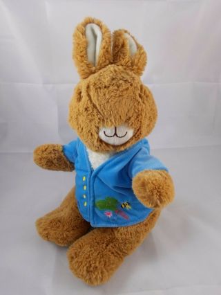Peter Rabbit Plush Sits 11 " Beatrix Potter Kids Preferred Stuffed Animal