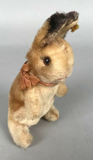 Vintage Steiff Manni Rabbit Hase - 10 Cm 5 " Tall 1961 - 67 4310.  03