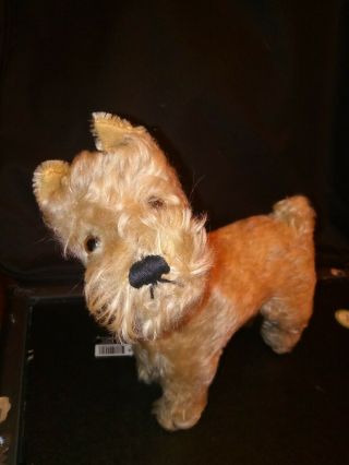 Rare Antique Steiff Mohair Stuffed Dog Airedale Fox Jack Russell Terrier
