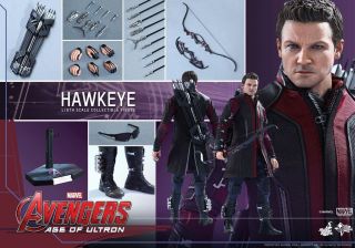 Hot Toys Hawkeye Avengers Age Of Ultron Mms289 Jeremy Renner New/sealed Shipper