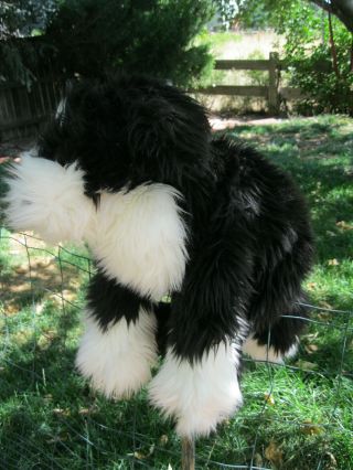 Folkmanis Portuguese Water Dog Puppet Full Body Plush Black & White 25 