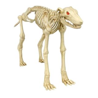 3 Ft.  Animated Skeleton Greyhound Led Eyes Real Sound Growling Barking Halloween