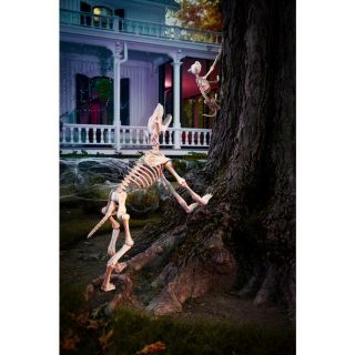 3 ft.  Animated Skeleton Greyhound LED Eyes Real sound growling barking Halloween 2