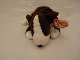 1997 Ty Beanie Babies Bruno The Terrior Dog W/tags (9 Inch)