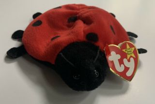 Rare Retired Ty Beanie Baby “lucky”with Multiple Tag Errors 1993 - 1995