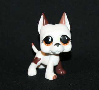 Authentic Littlest Pet Shop Great Dane 750 White Brown Tan Dog Orange Tear Eyes
