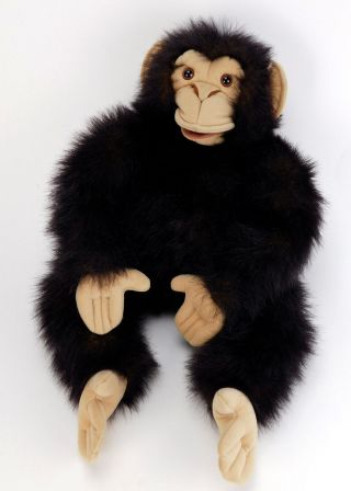 Folktails Folkmanis Chimpanzee Full Body Hand Puppet Plush Monkey Chimp Ape 22 "