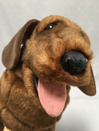 Rare Folkmanis Plush Full Body 21” Dachshund Weiner Dog Hand Puppet Hard Eyes