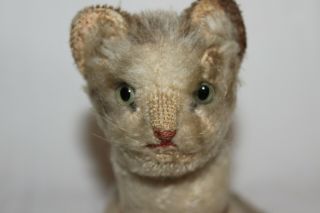 Vintage Steiff Mohair Stuffed Sitting Cat Very Old - Tapsy? No Tag Striped Back