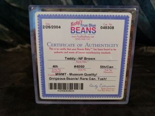 Ty Beanie Babies Authenticated Teddy NF Brown MWMT - MQ 4/5 Rare Canada Tush 2