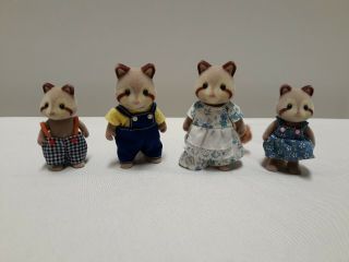 Calico Critters Sylvanian Families Retired Rare Mulberry Raccoon Family Of Four