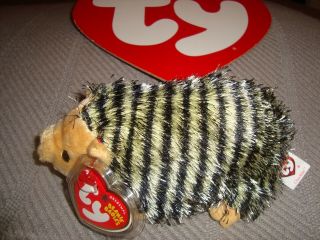 Ty Chuckles Hedgehog Mwmts Beanie Baby Size Plush Toy 2004 Hedge Hog